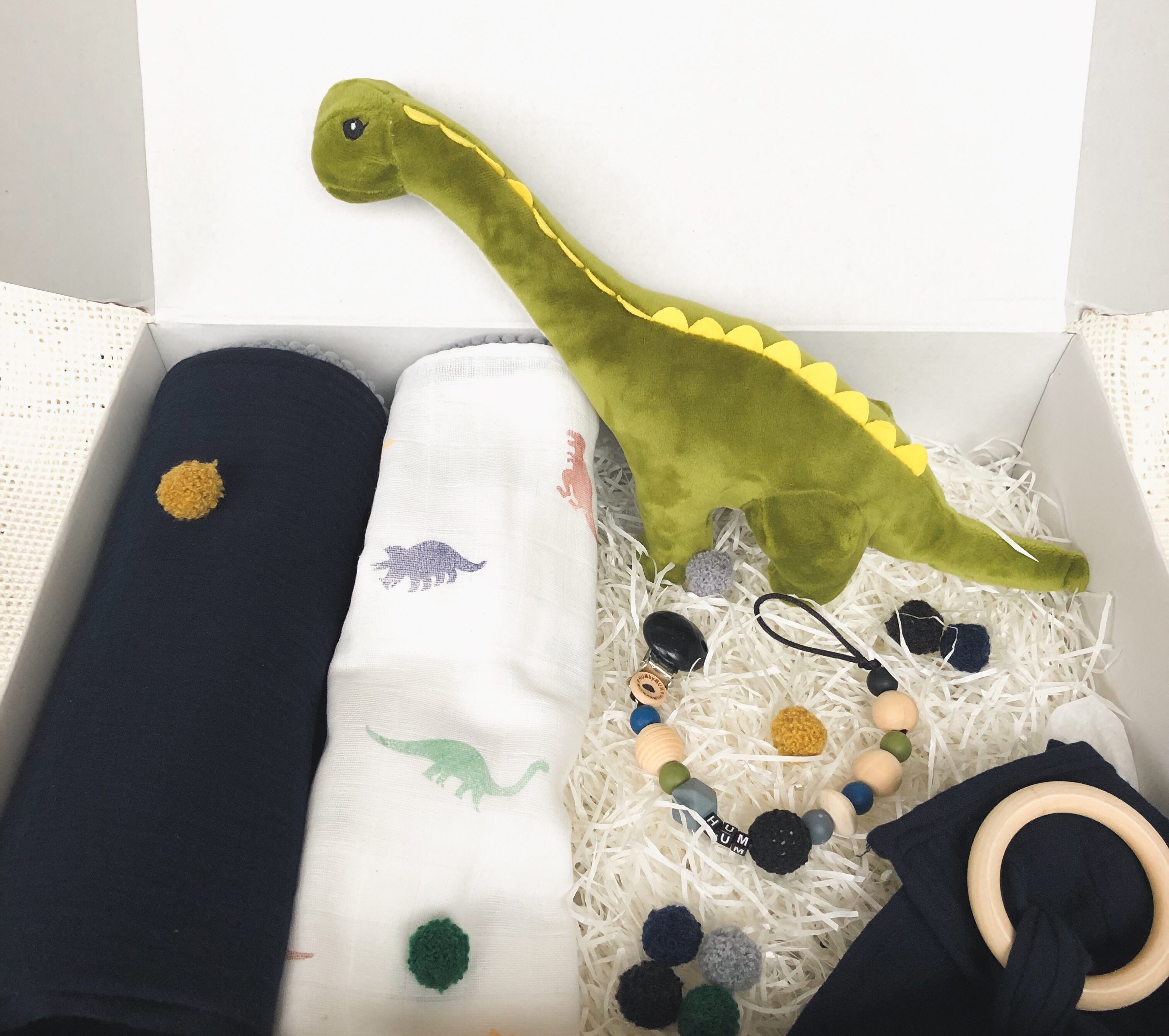 Baby surprise giftbox Dinosaur